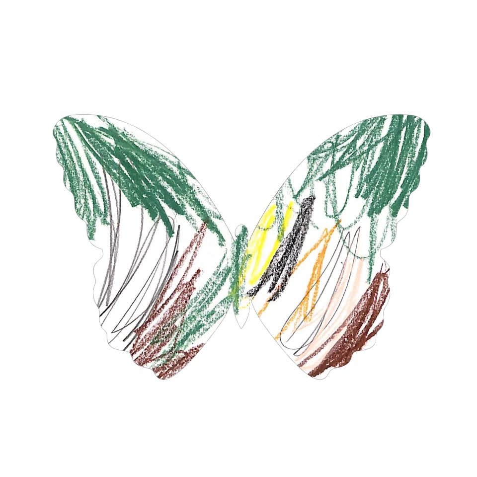 Original Butterfly Image