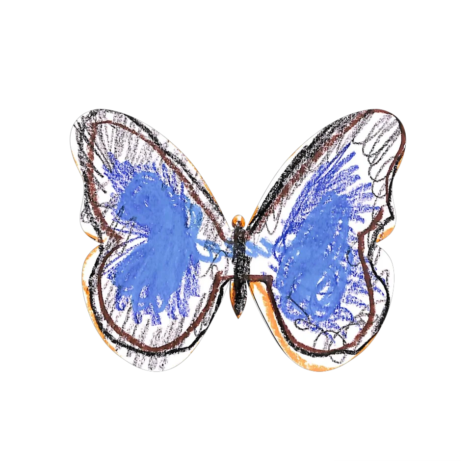 Original Butterfly Image
