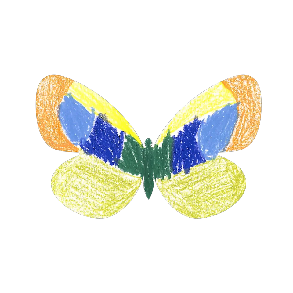 Original Butterfly Image