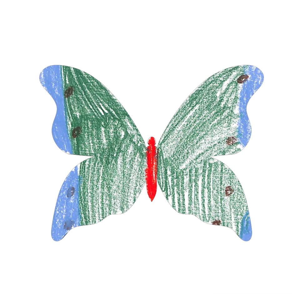 Original Butterfly Image