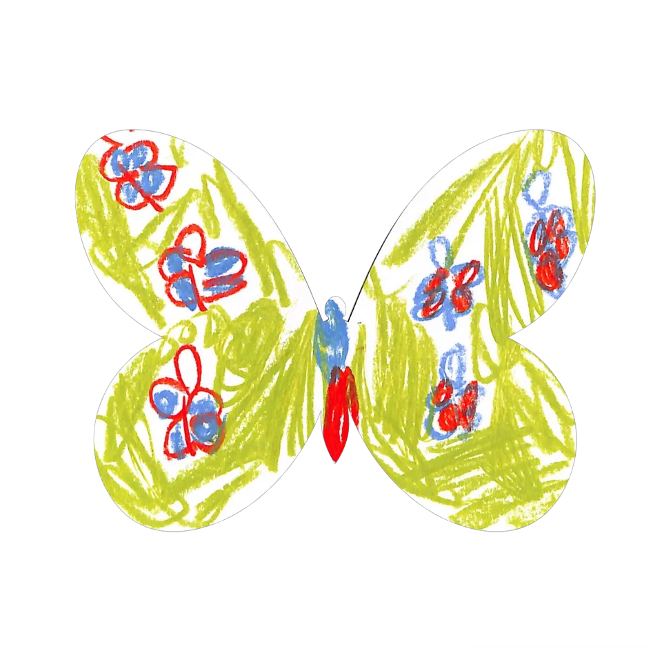 Original Butterfly Image