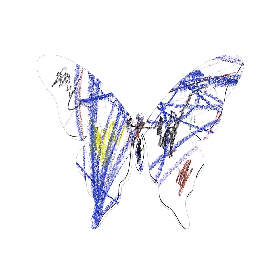 Original Butterfly Image
