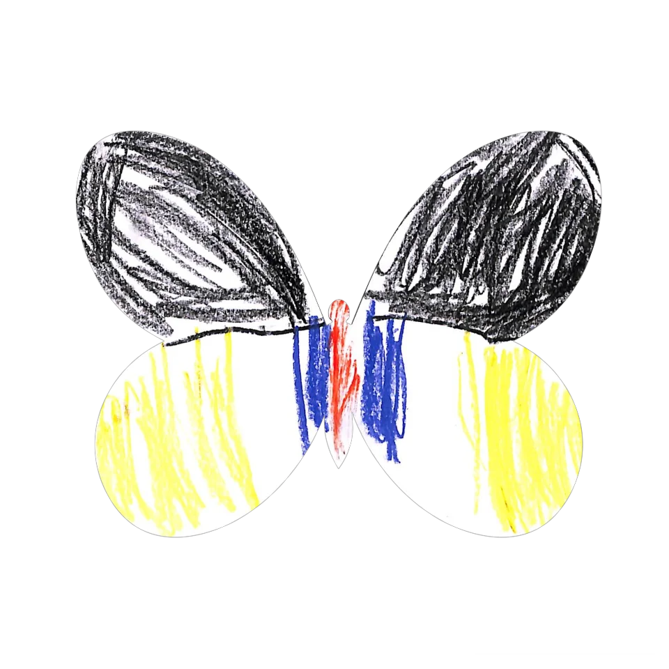 Original Butterfly Image