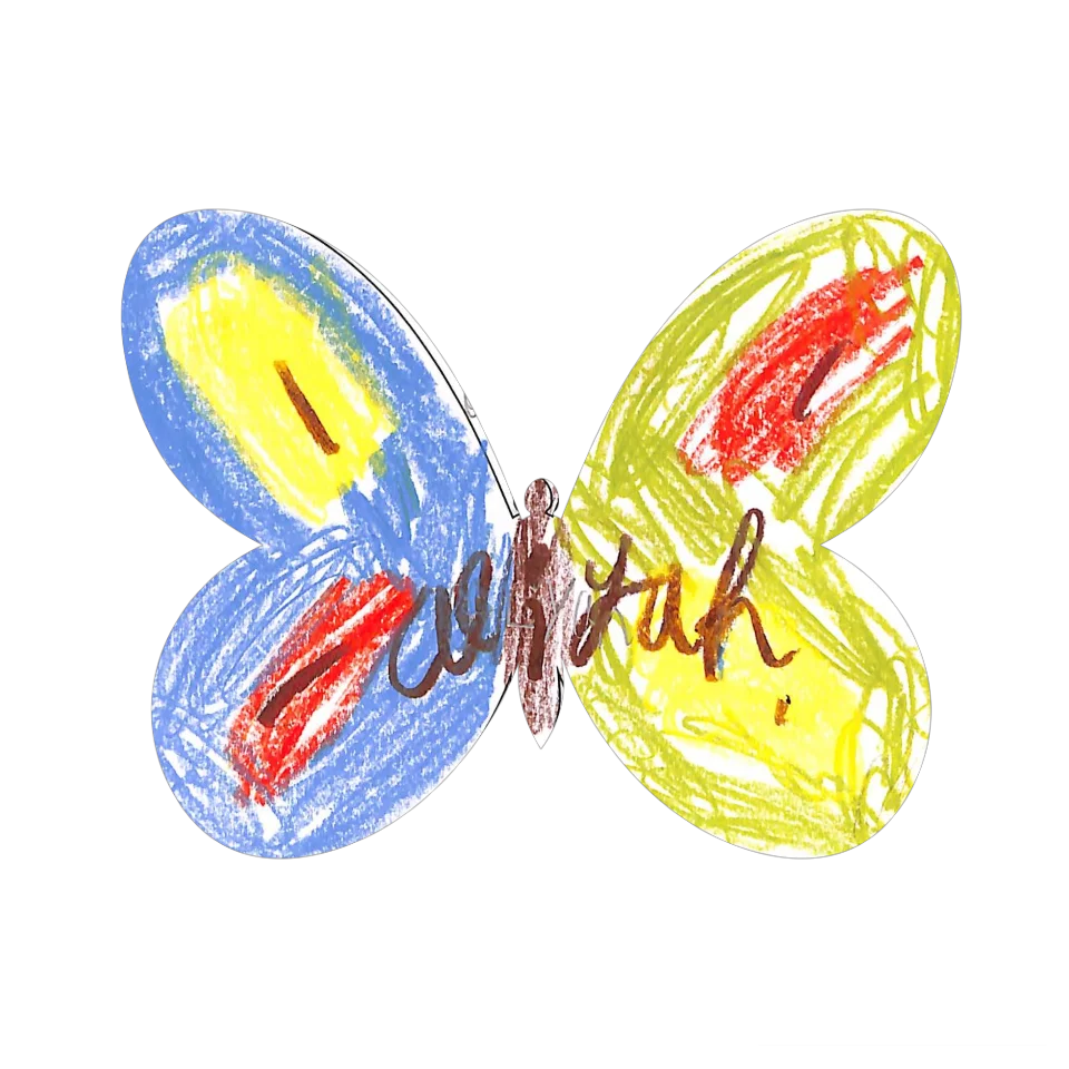 Original Butterfly Image