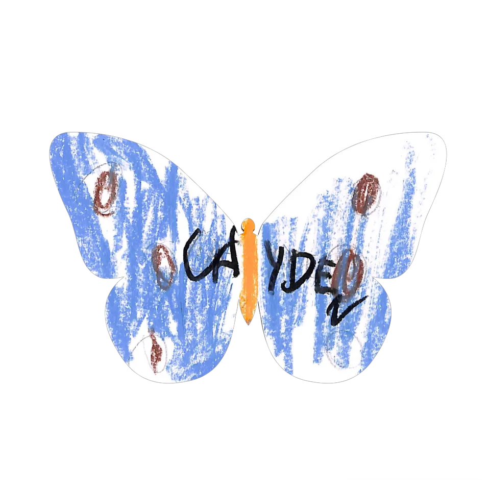 Original Butterfly Image