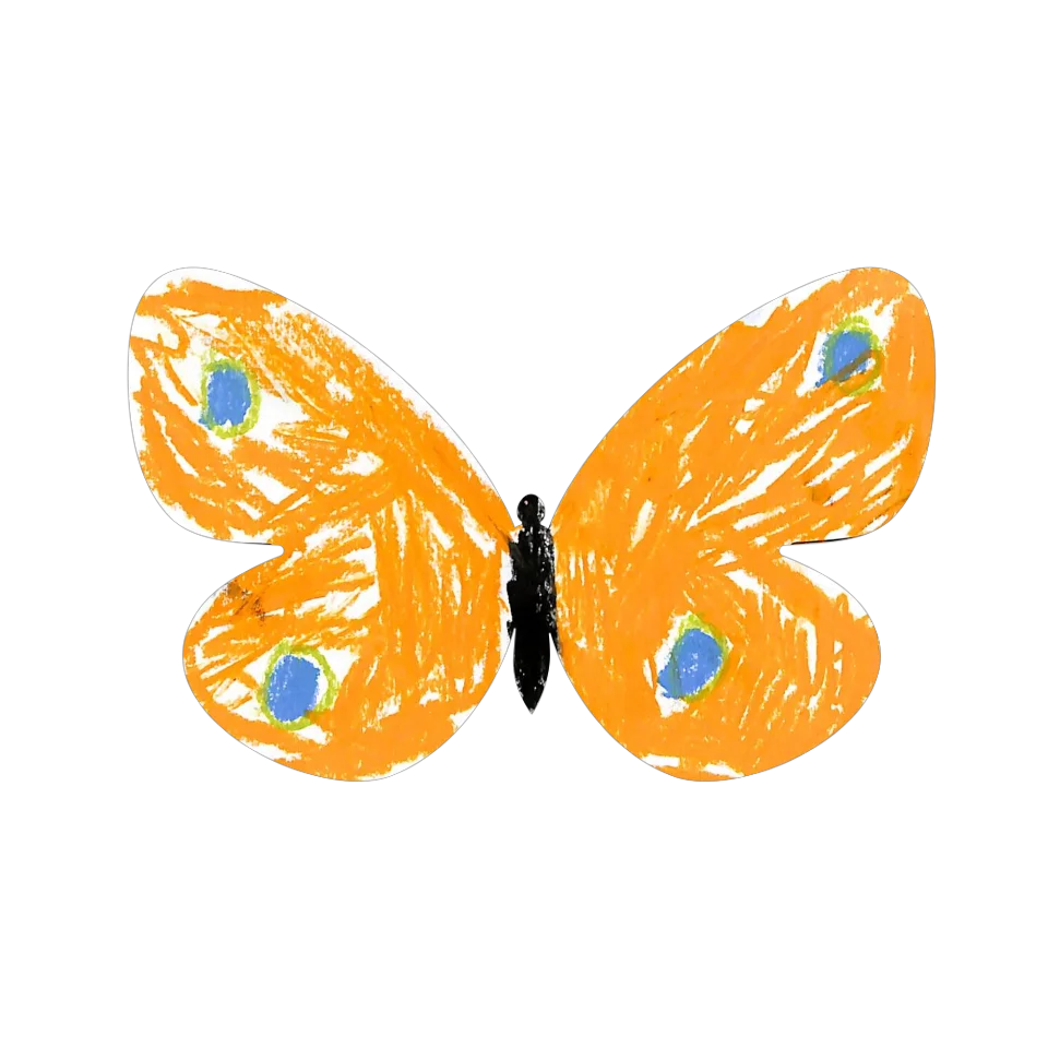 Original Butterfly Image