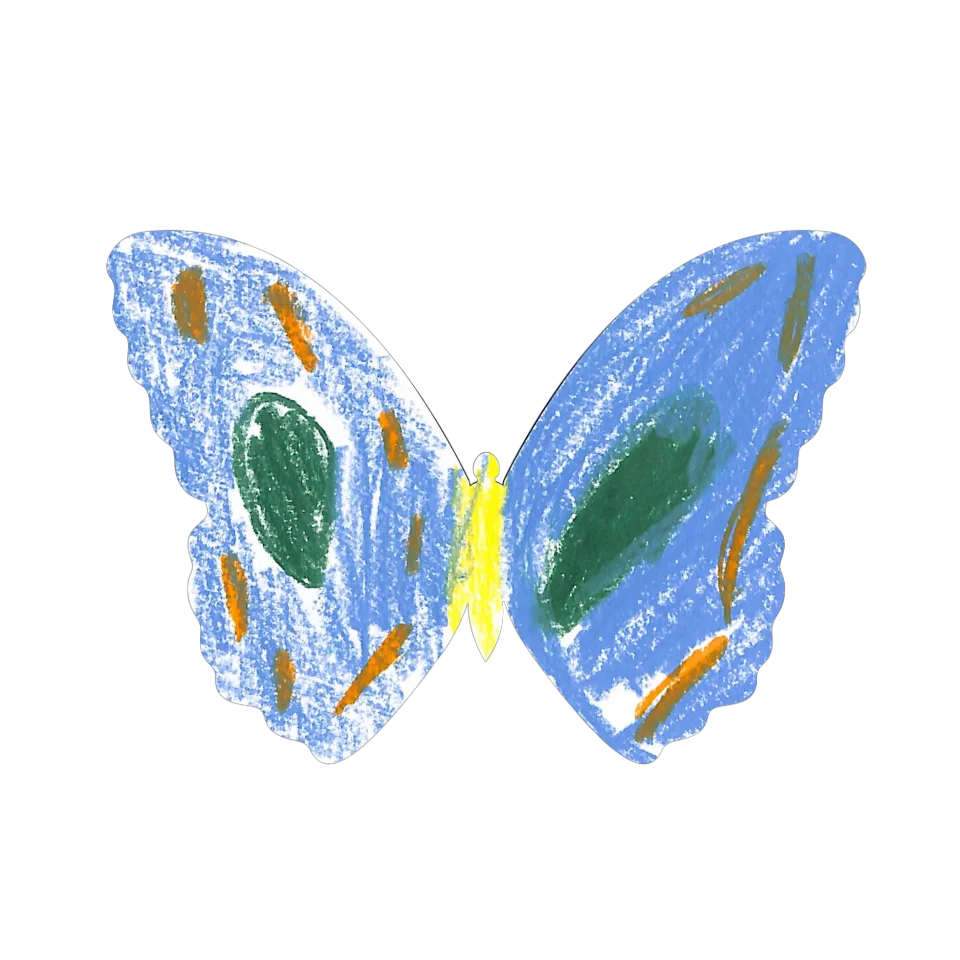 Original Butterfly Image