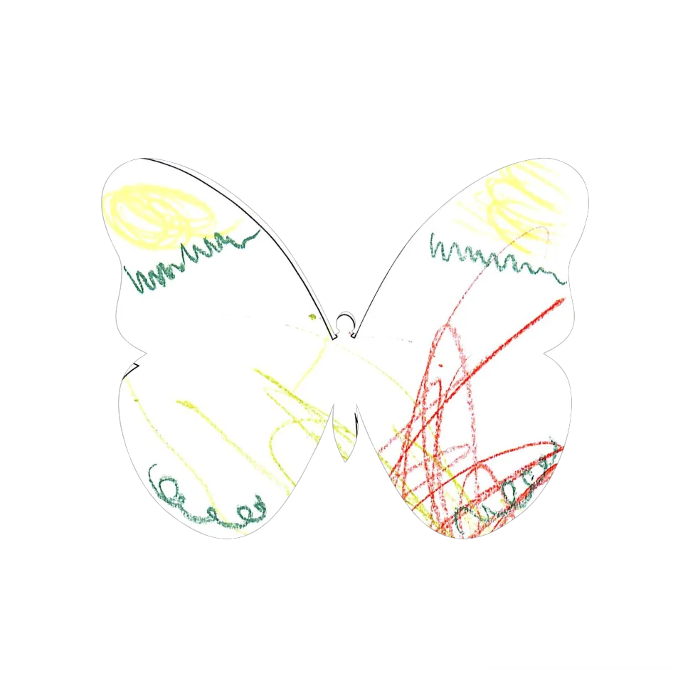 Original Butterfly Image