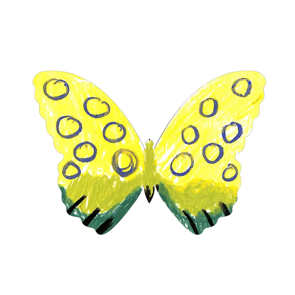 Original Butterfly Image