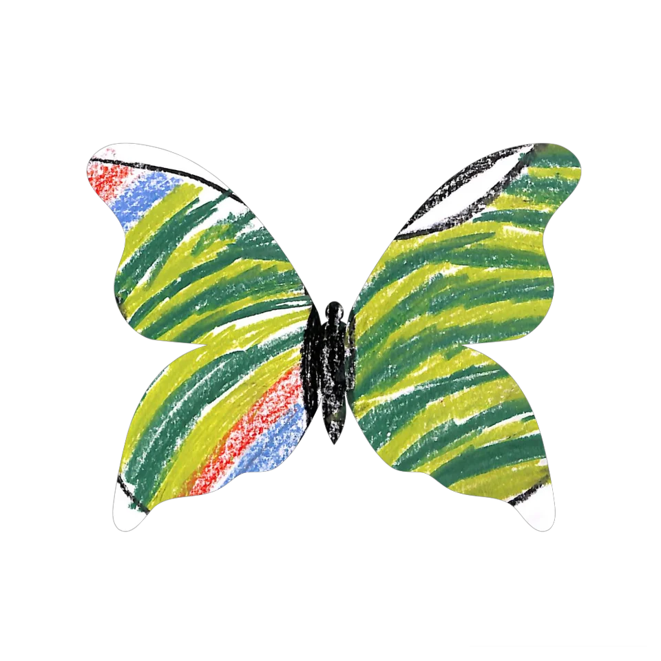 Original Butterfly Image
