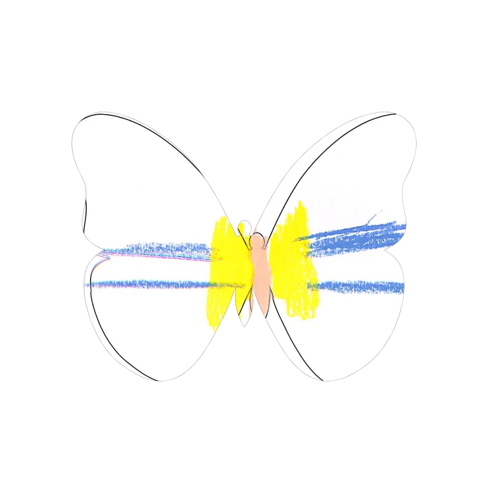 Original Butterfly Image
