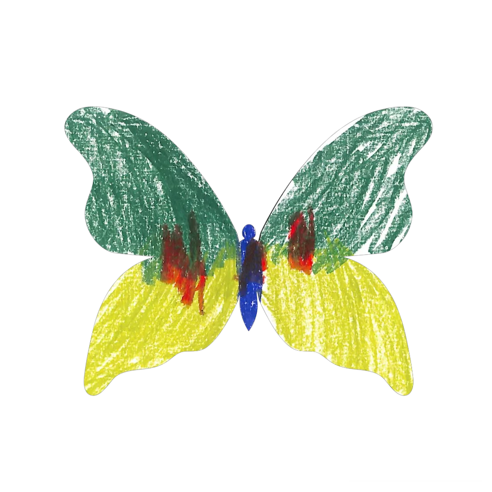 Original Butterfly Image