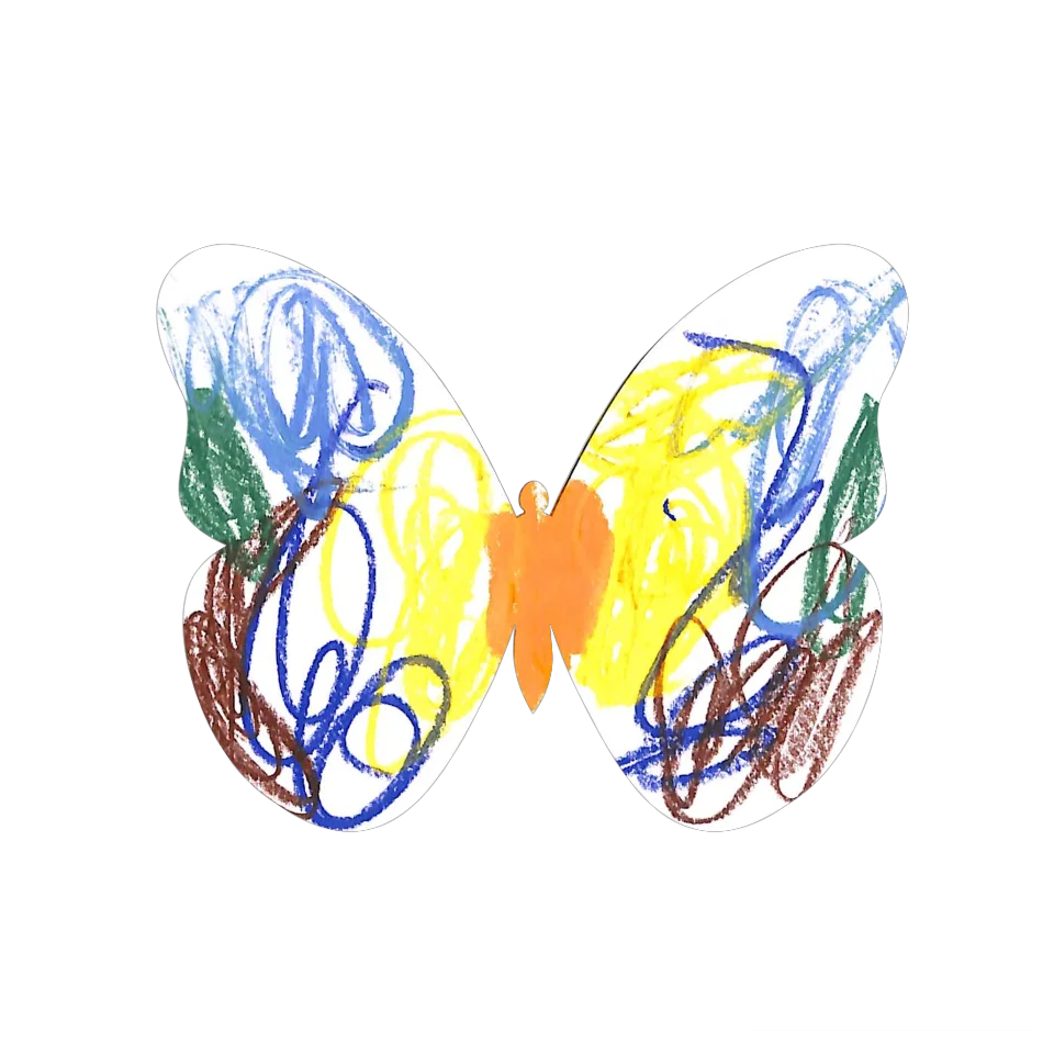 Original Butterfly Image