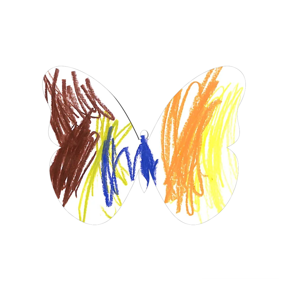 Original Butterfly Image