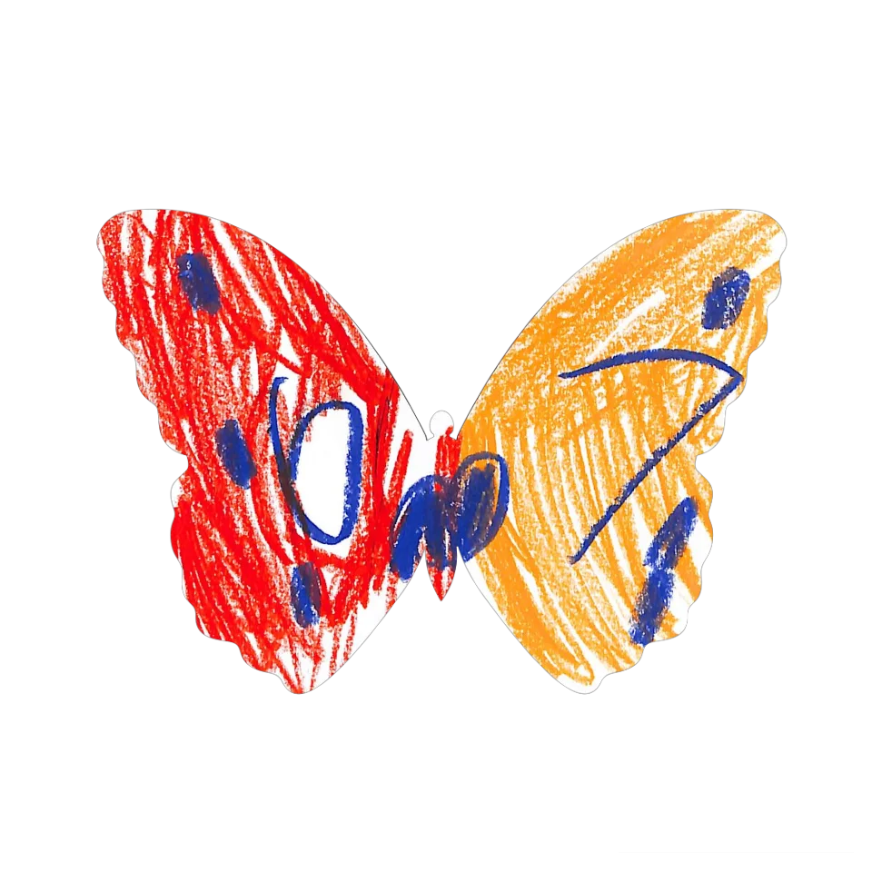 Original Butterfly Image