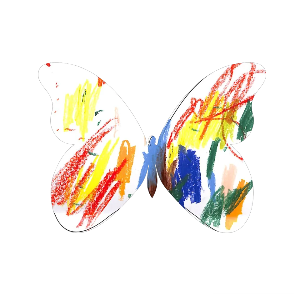 Original Butterfly Image