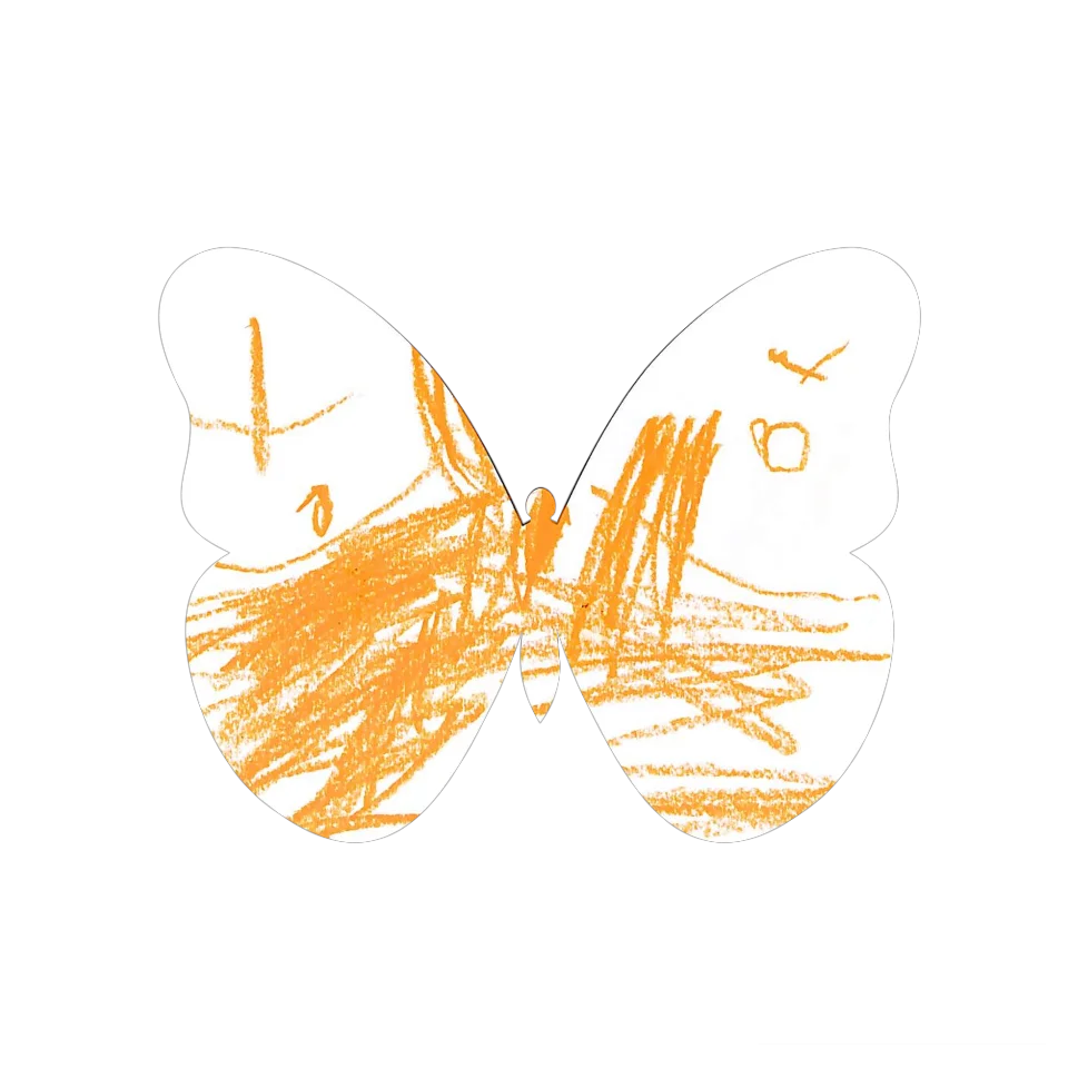 Original Butterfly Image