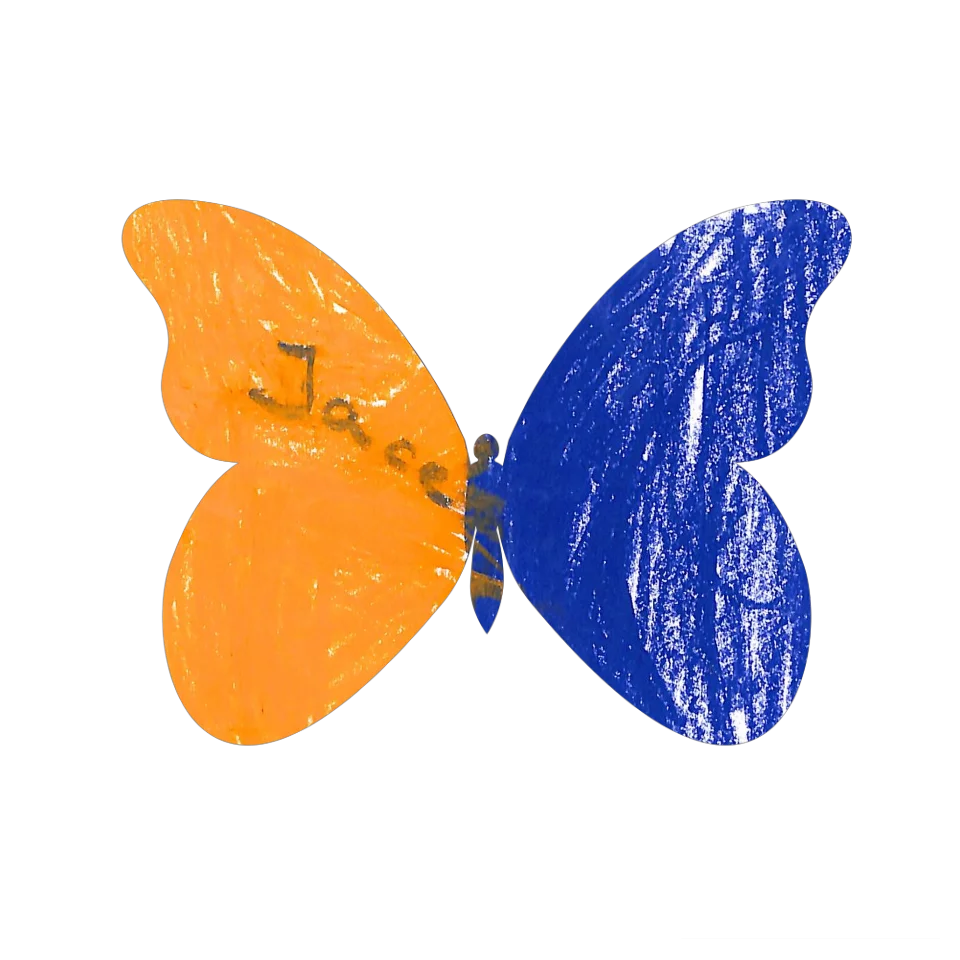 Original Butterfly Image