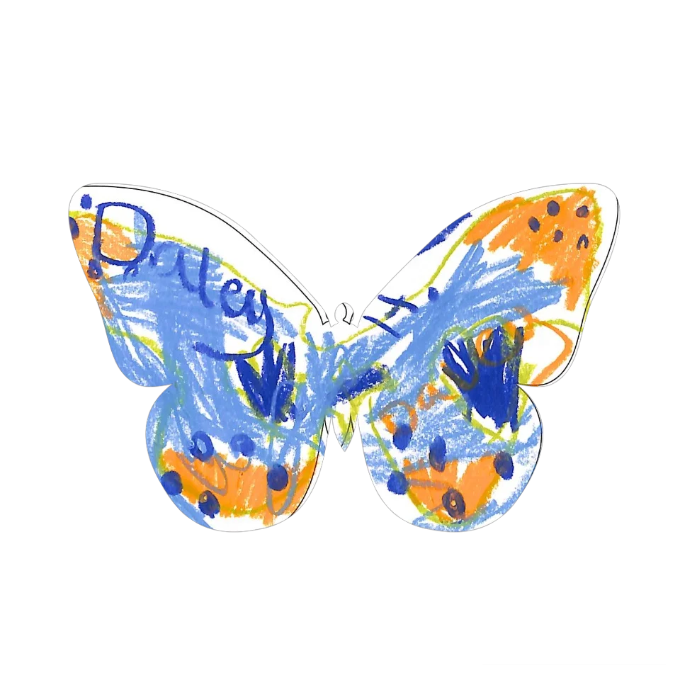 Original Butterfly Image