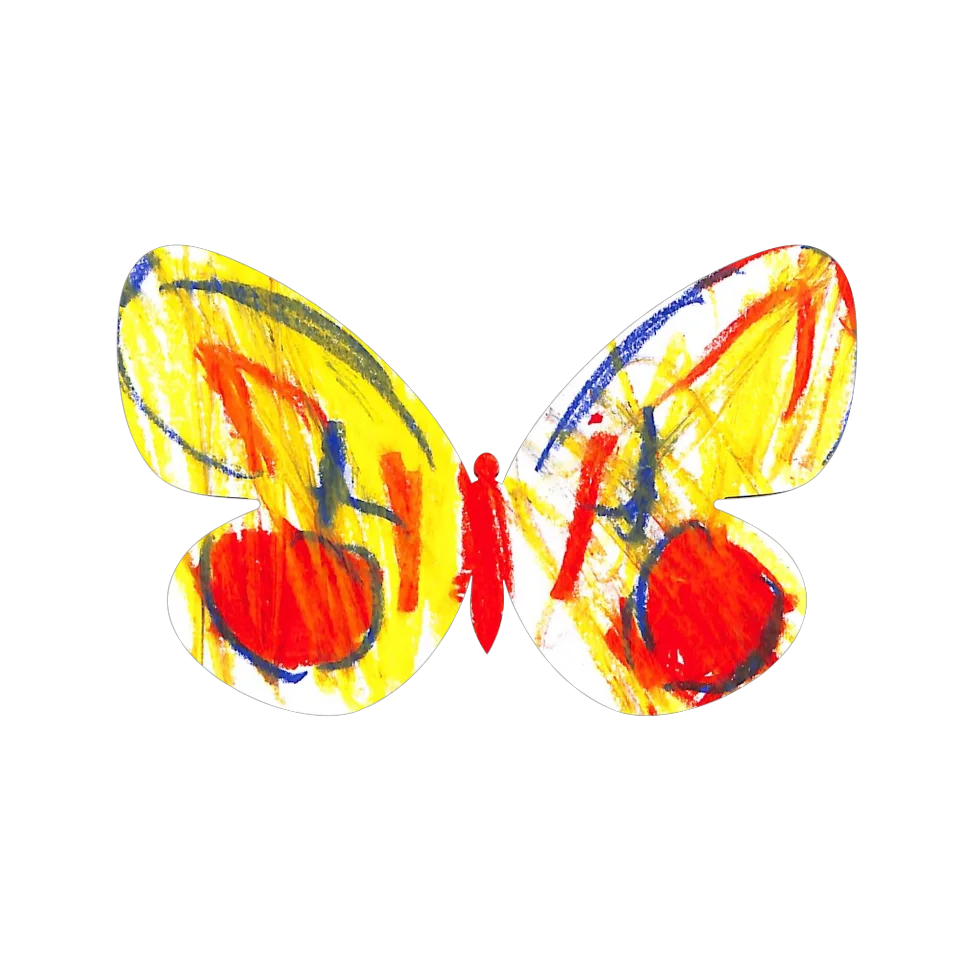 Original Butterfly Image