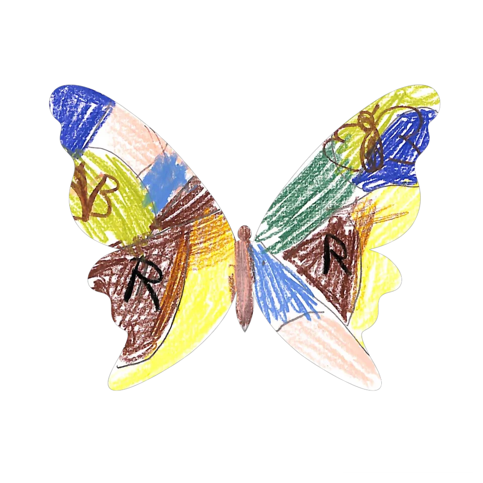 Original Butterfly Image