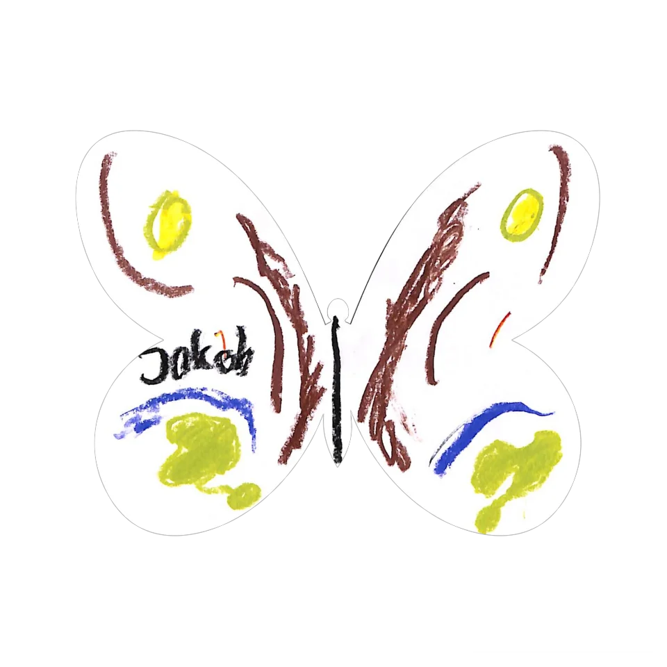 Original Butterfly Image