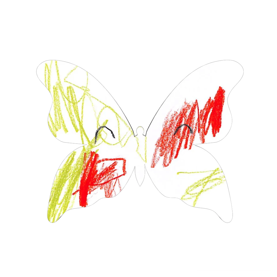 Original Butterfly Image