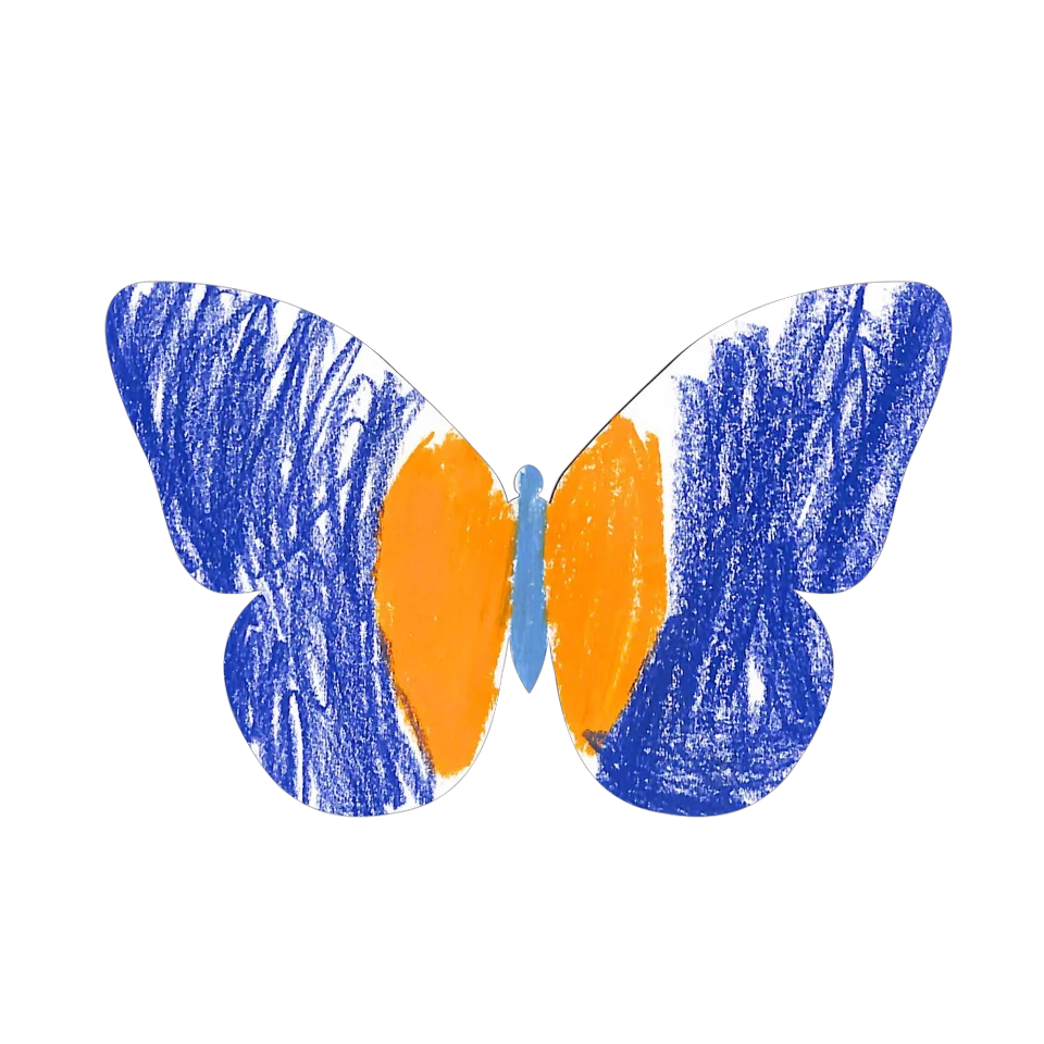 Original Butterfly Image