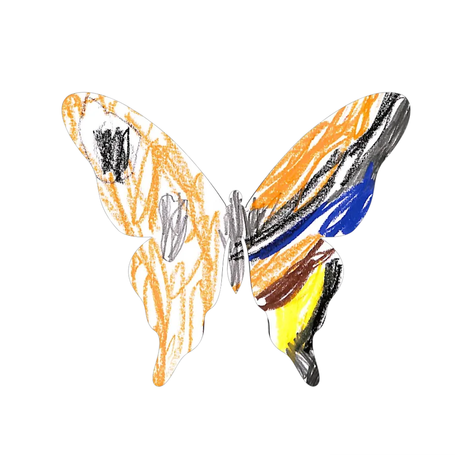 Original Butterfly Image