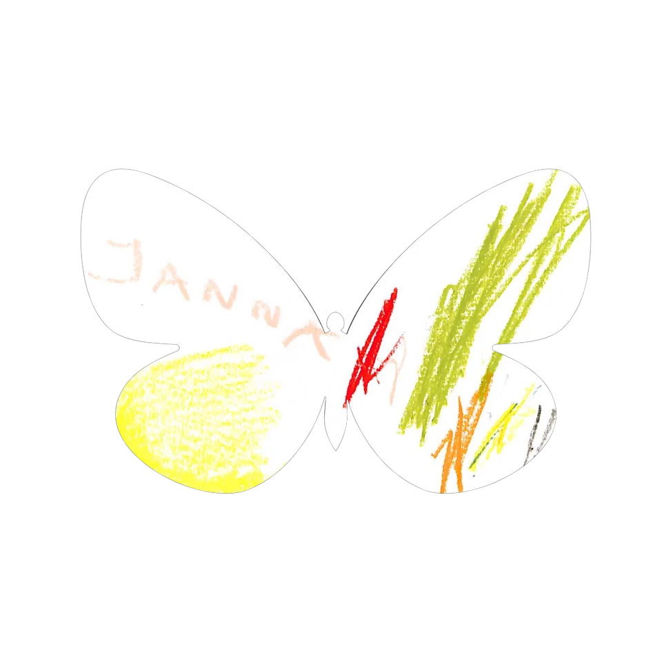 Original Butterfly Image