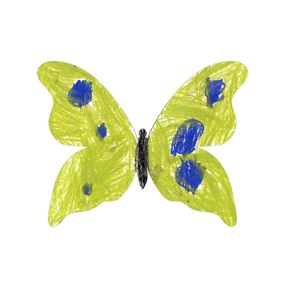 Original Butterfly Image