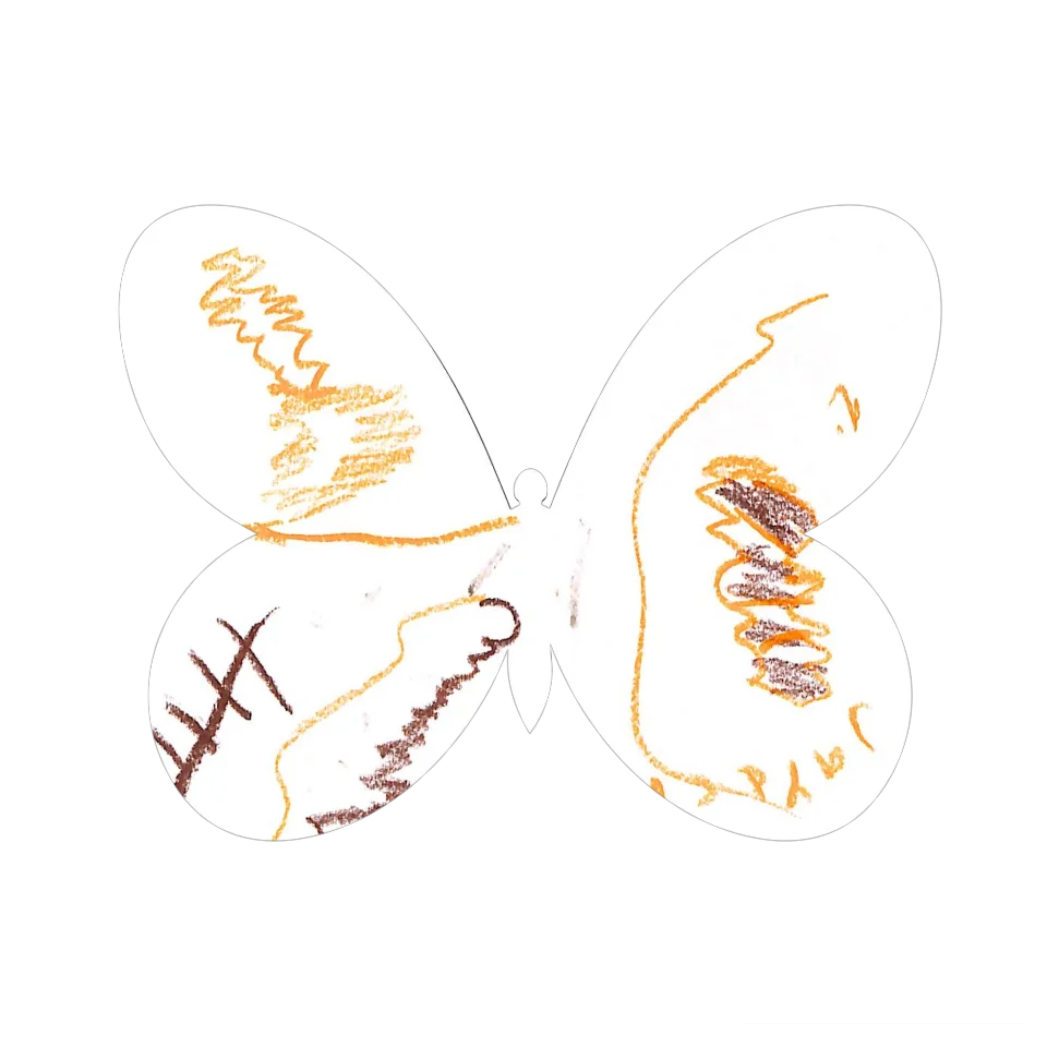 Original Butterfly Image