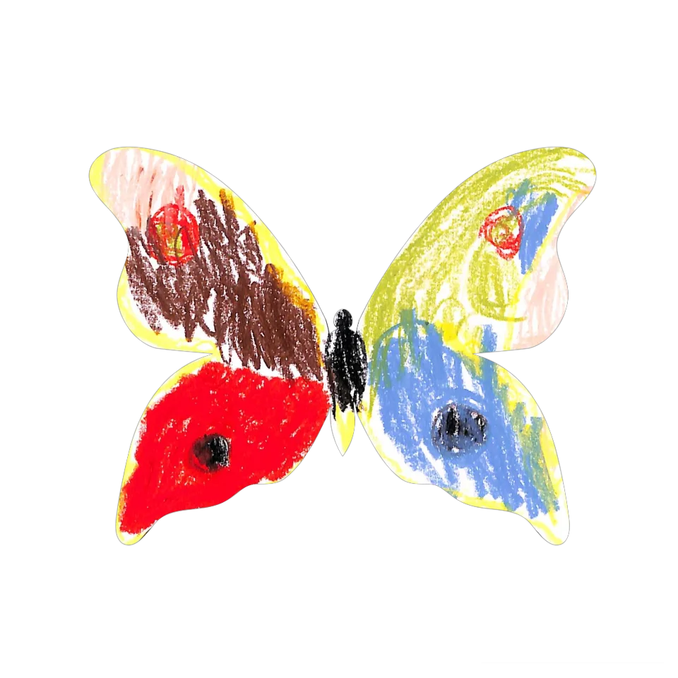 Original Butterfly Image