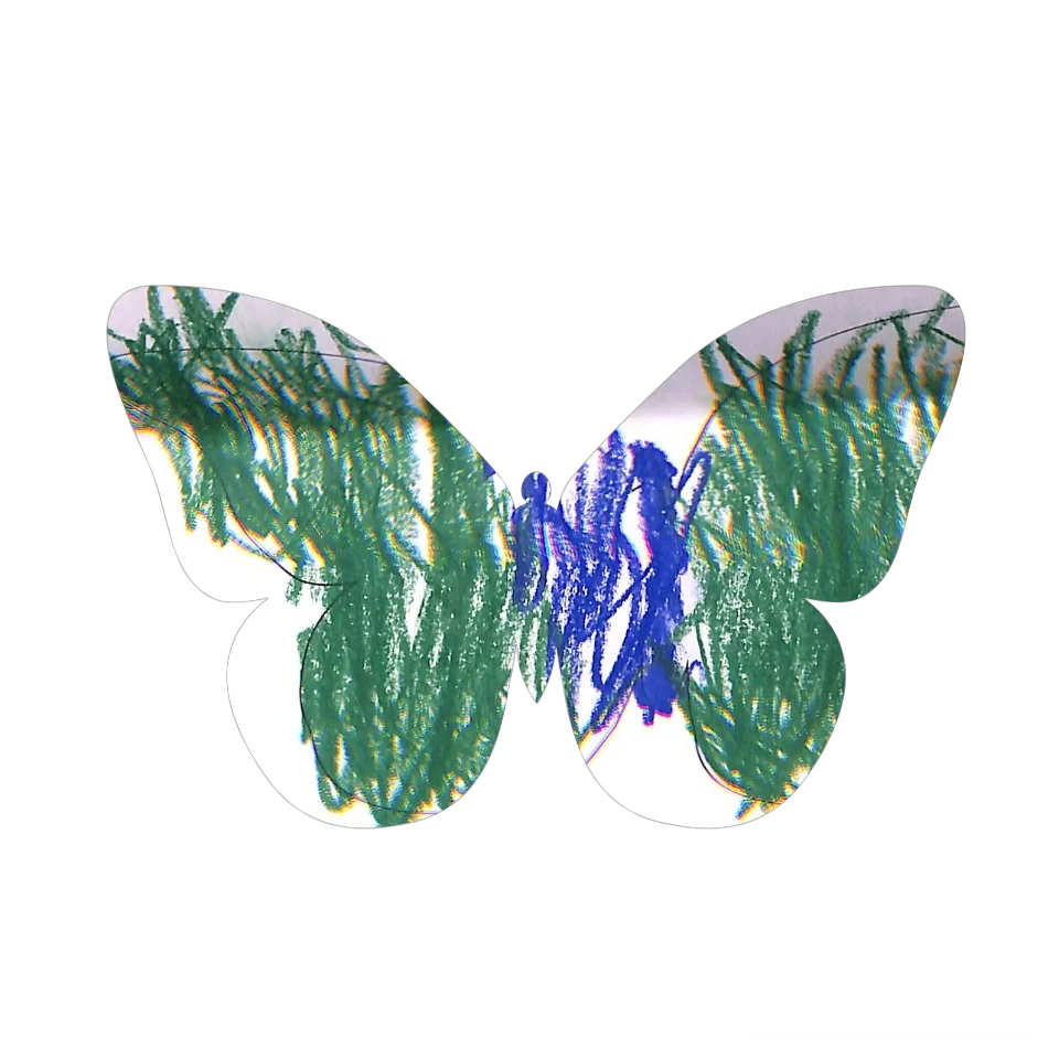 Original Butterfly Image