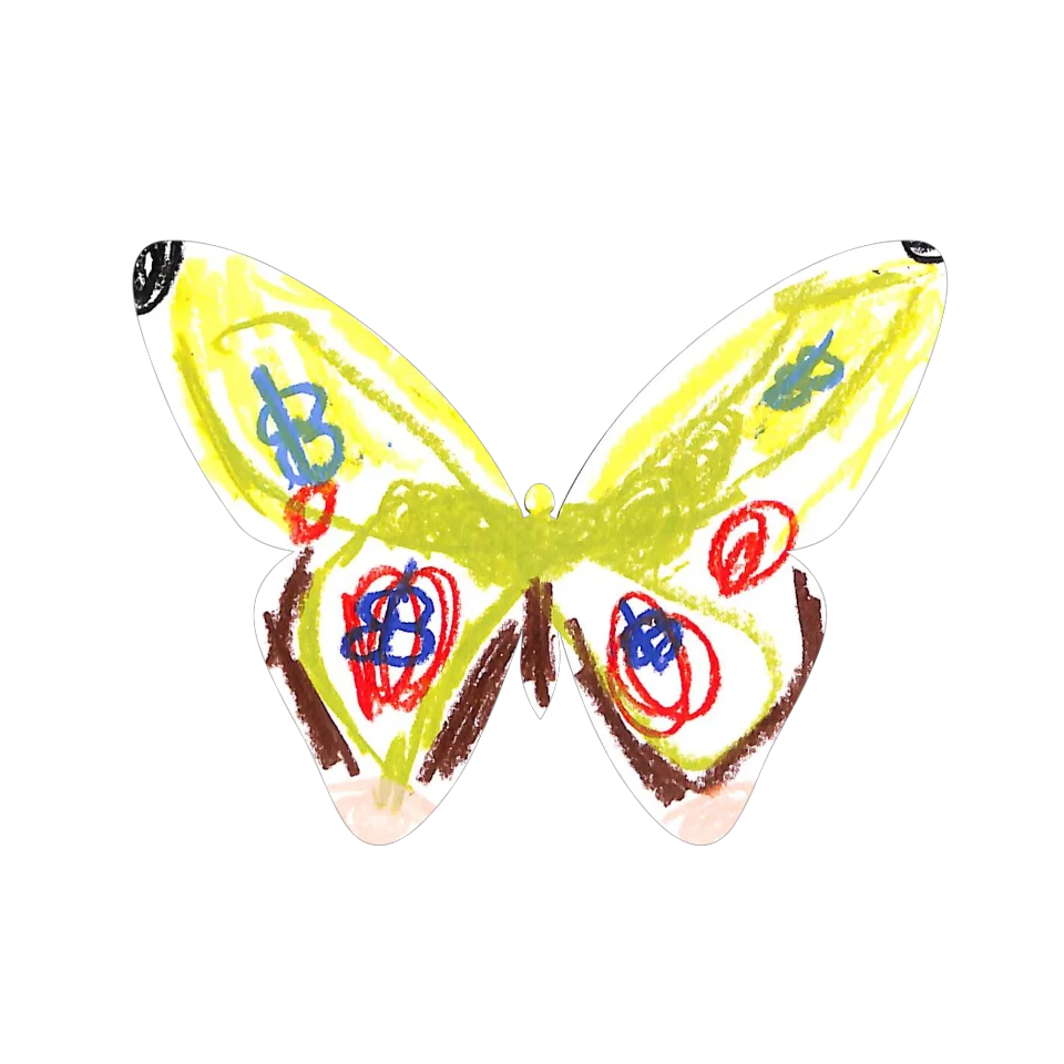 Original Butterfly Image