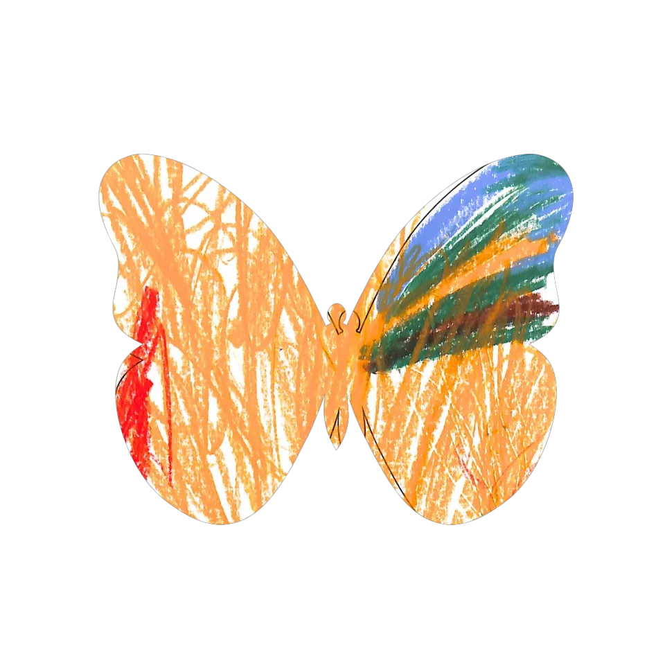 Original Butterfly Image