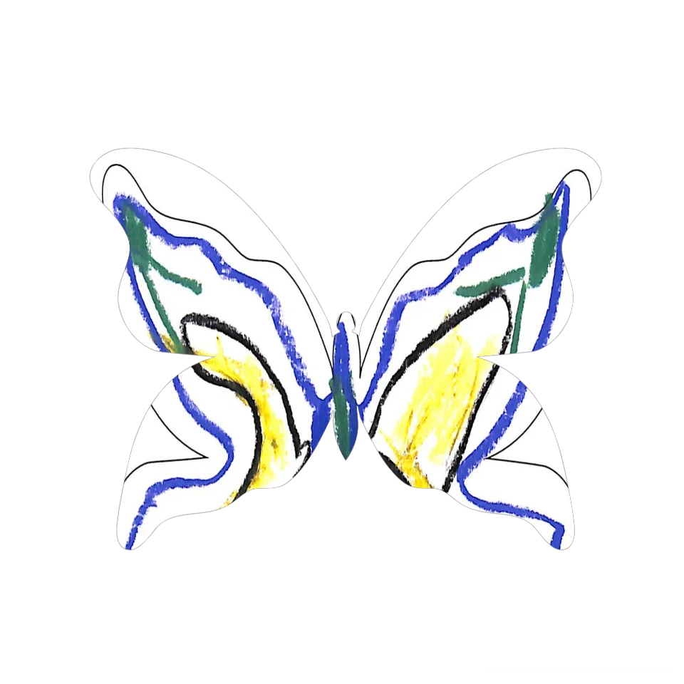 Original Butterfly Image