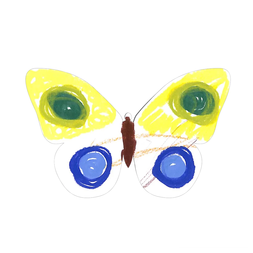 Original Butterfly Image