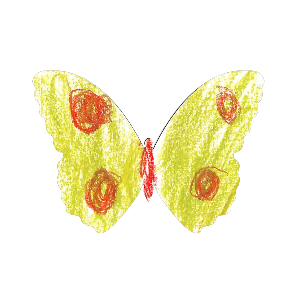Original Butterfly Image