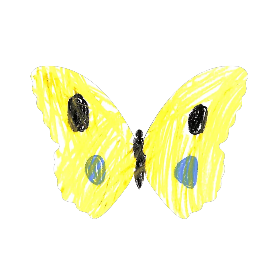 Original Butterfly Image