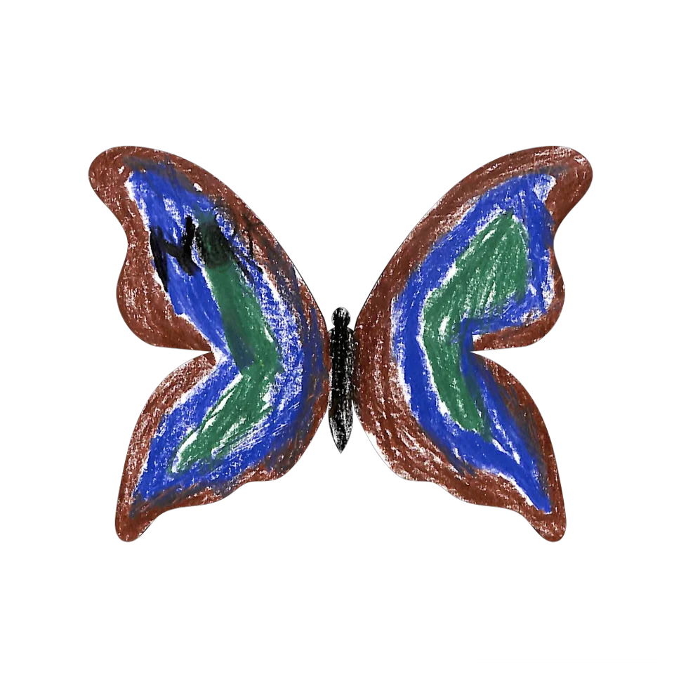 Original Butterfly Image