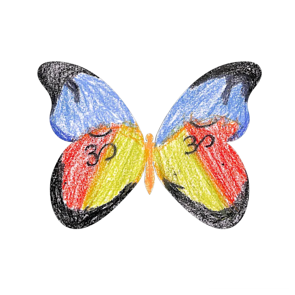 Original Butterfly Image