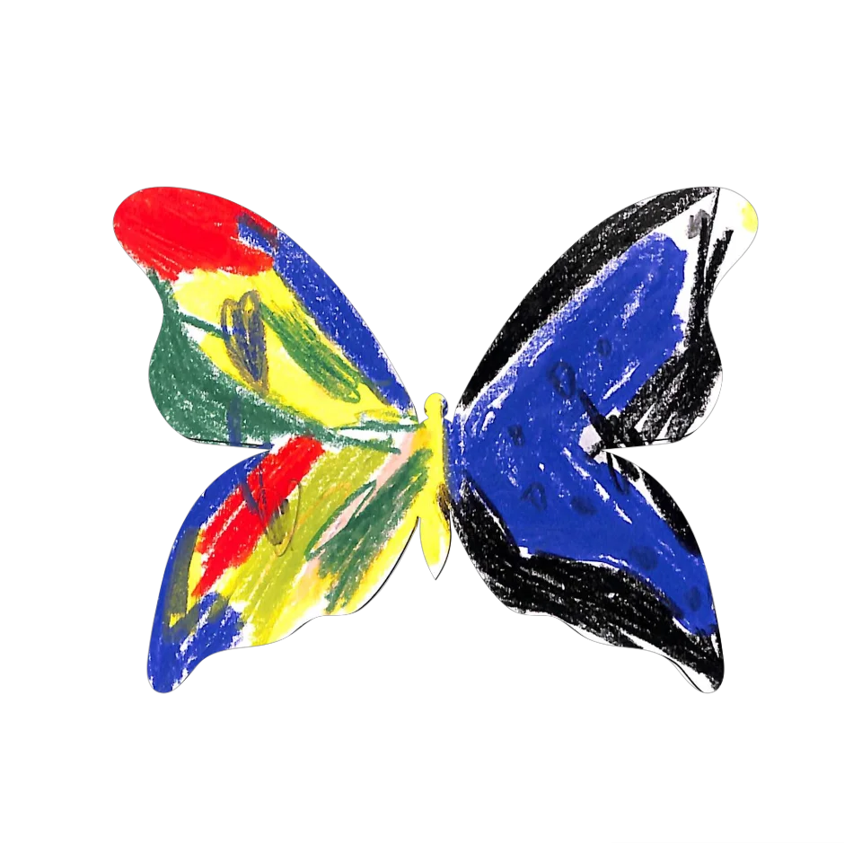 Original Butterfly Image