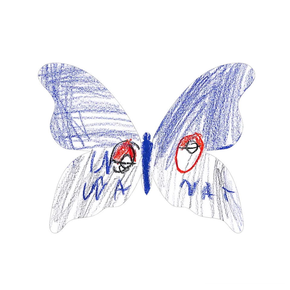 Original Butterfly Image