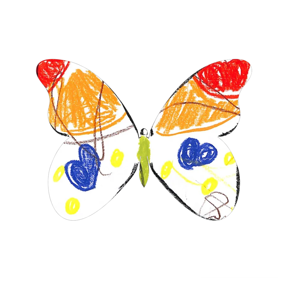 Original Butterfly Image