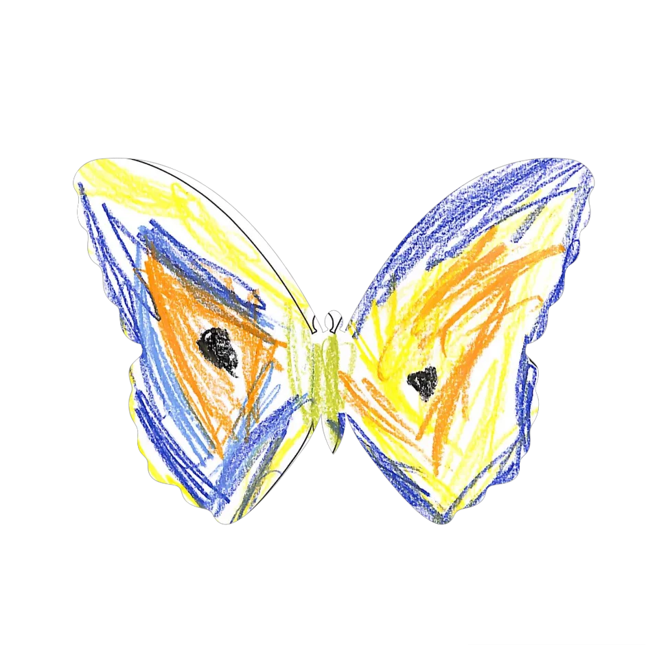 Original Butterfly Image