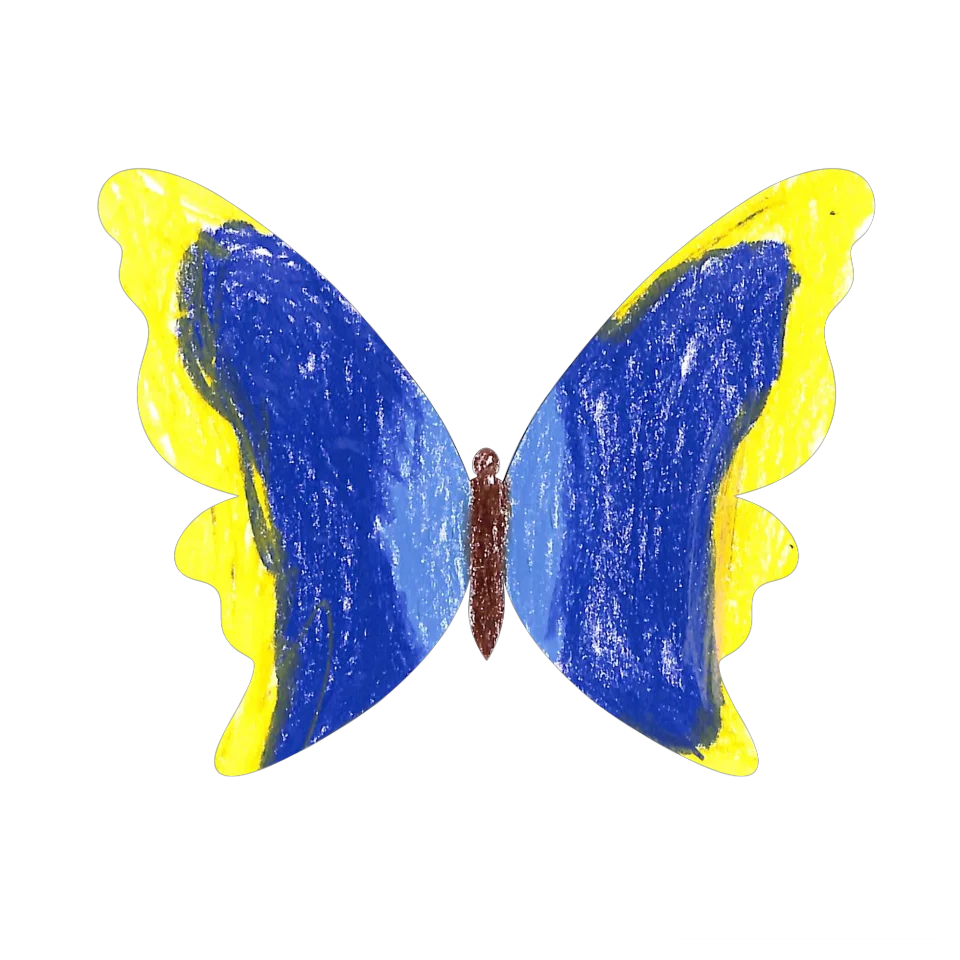 Original Butterfly Image