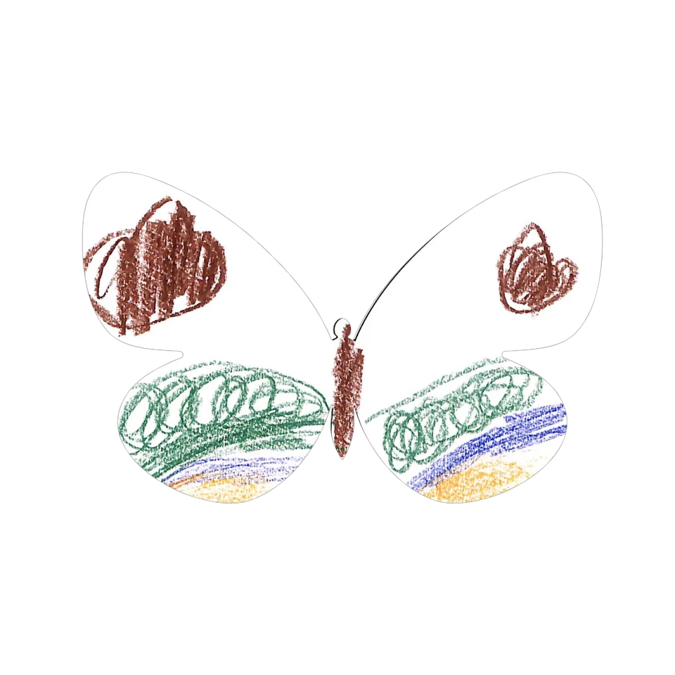 Original Butterfly Image