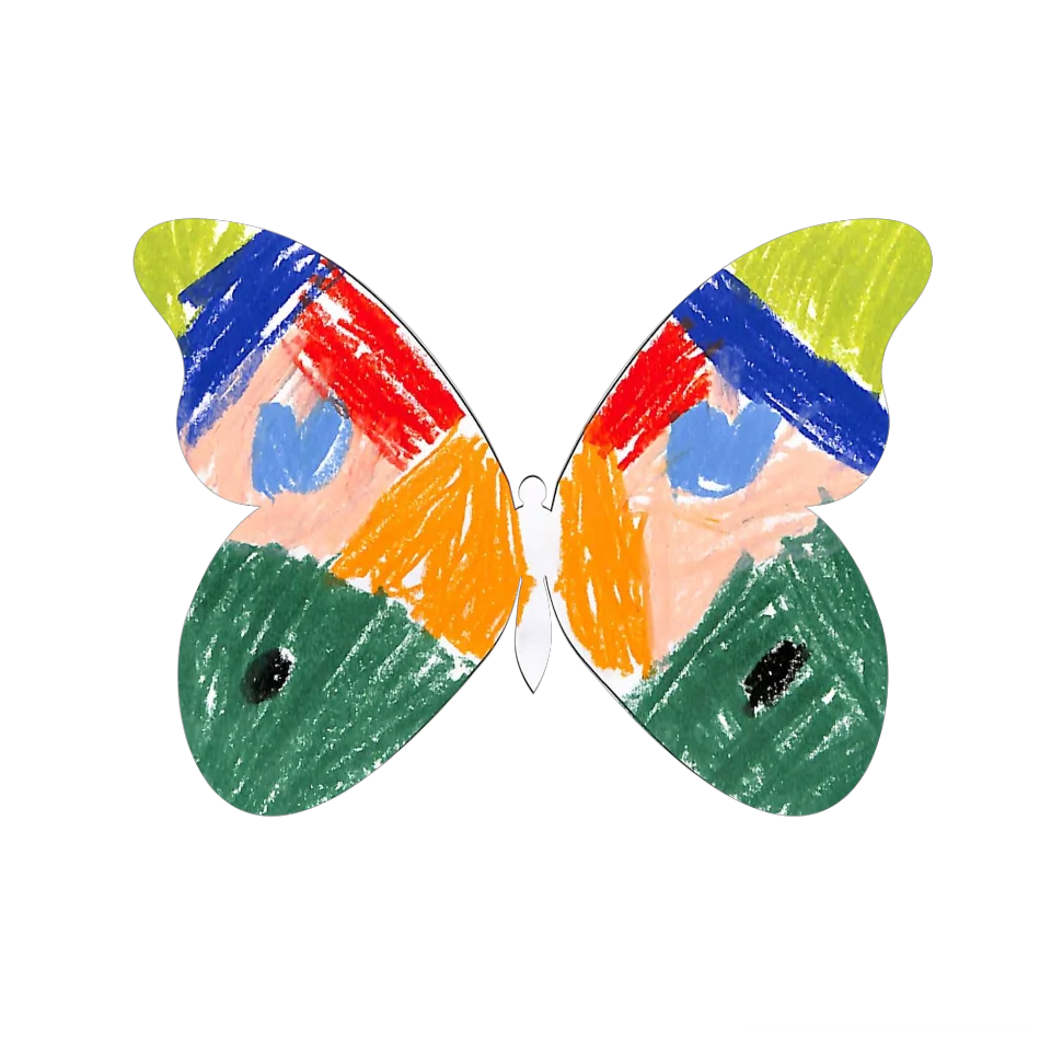 Original Butterfly Image