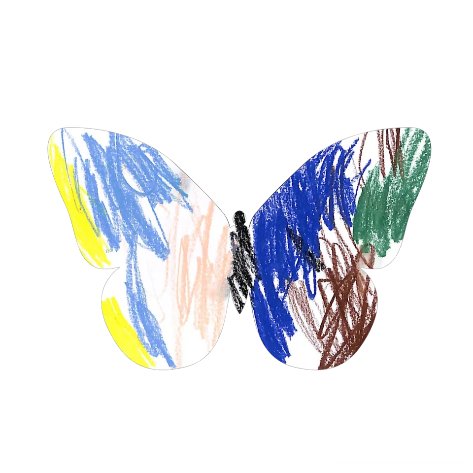 Original Butterfly Image